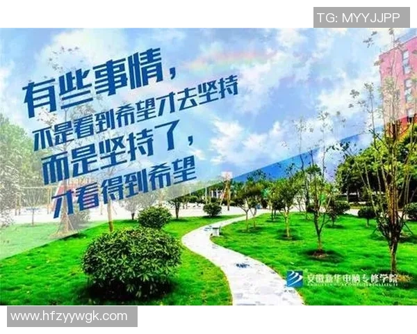 专访李芳：探寻篮球领域的成功秘诀与奋斗历程