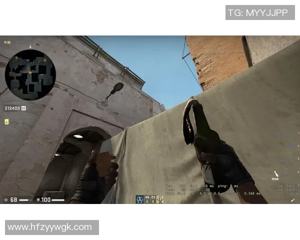 深入分析FPX战队的防守策略与战术布局在CSGO中的应用与成效