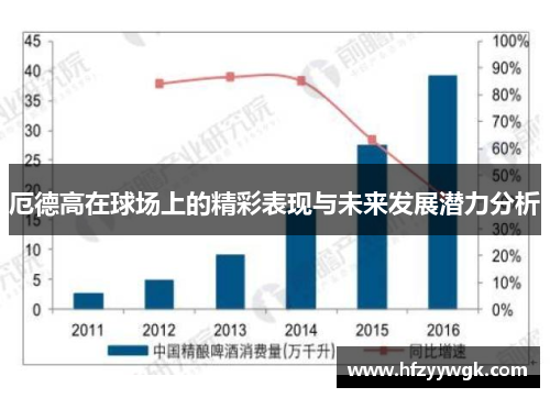 厄德高在球场上的精彩表现与未来发展潜力分析