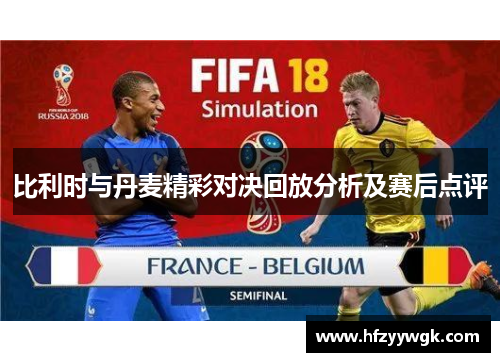 比利时与丹麦精彩对决回放分析及赛后点评